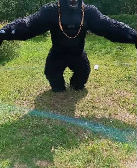 Anime Cosplay Real Life - Costume de Gorille Gonflable Réel, Mascotte