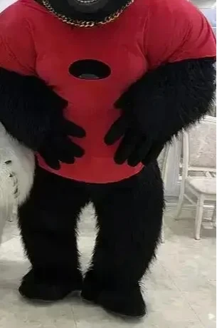 Costume de Gorille Gonflable d - Anime Cosplay Real Life avis et prix