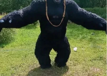 Costume de Gorille Gonflable d - Anime Cosplay Real Life avis et prix