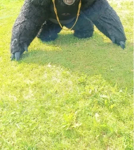 Costume de Gorille Gonflable d - Anime Cosplay Real Life avis et prix