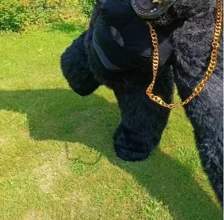 Costume de Gorille Gonflable d - Anime Cosplay Real Life avis et prix