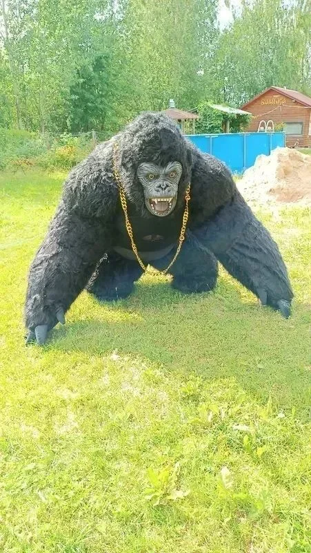 Costume de Gorille Gonflable d - Anime Cosplay Real Life avis et prix