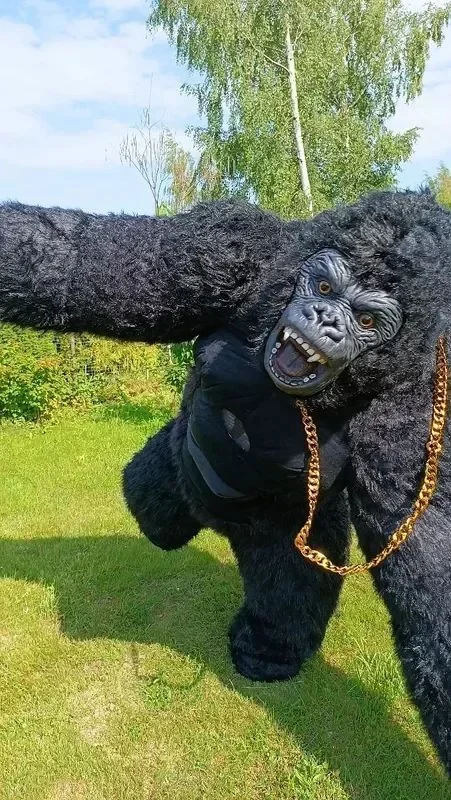 Costume de Gorille Gonflable d - Anime Cosplay Real Life avis et prix