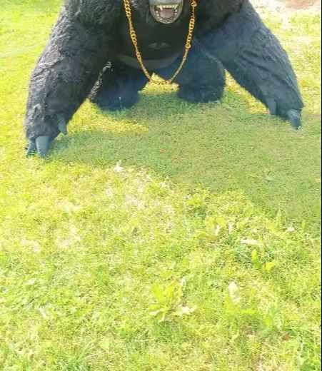 Costume de Gorille Gonflable R - Anime Cosplay Real Life avis et prix