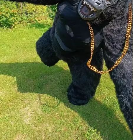 Costume de Gorille Gonflable R - Anime Cosplay Real Life avis et prix
