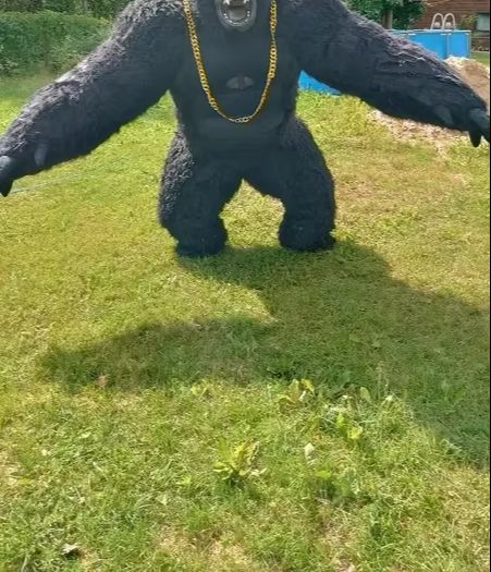 Costume de Gorille Gonflable R - Anime Cosplay Real Life avis et prix